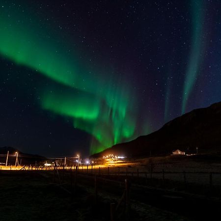 Arctic Lodge Tromvik With Jacuzzi Тромсё Экстерьер фото