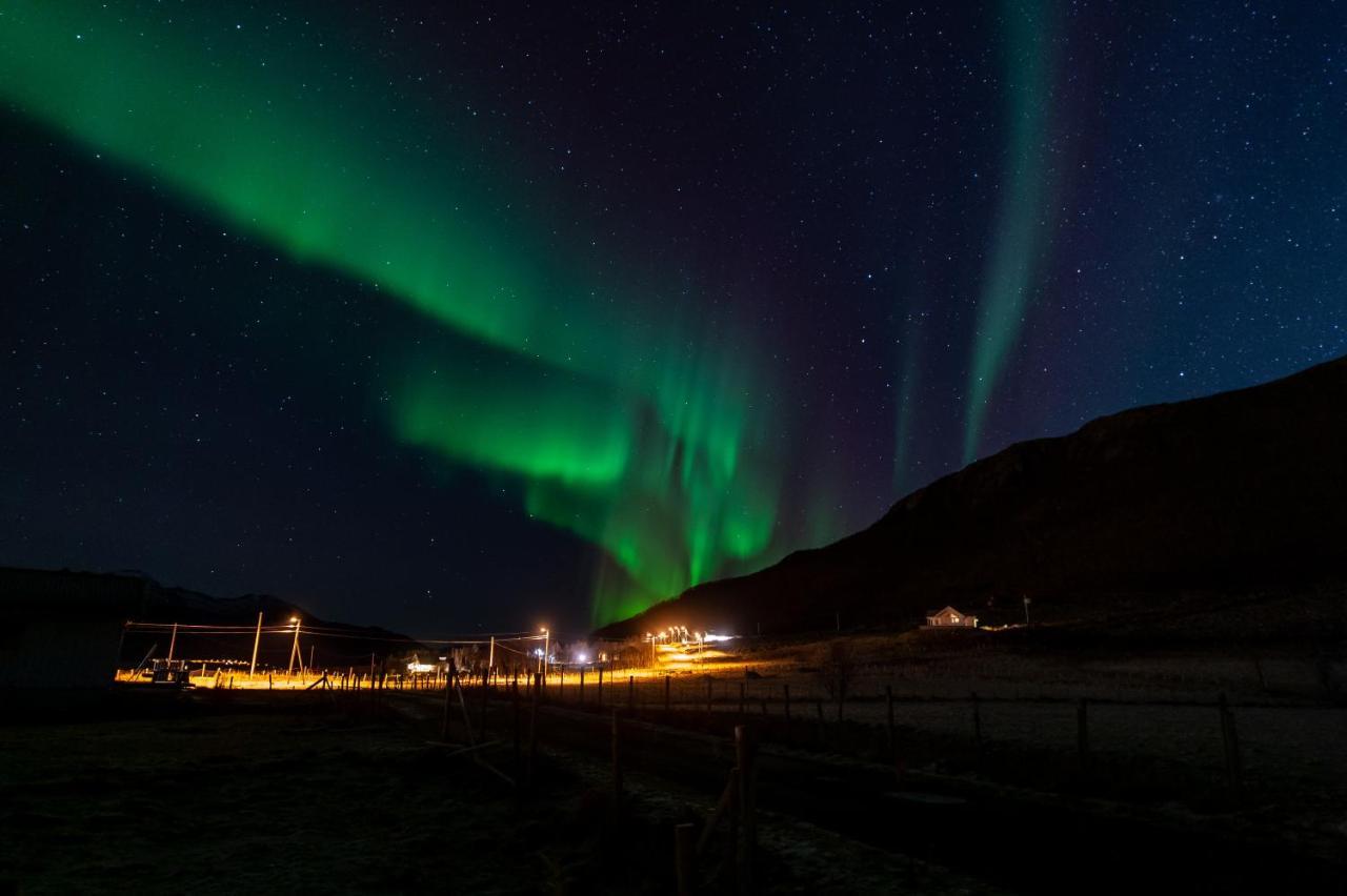 Arctic Lodge Tromvik With Jacuzzi Тромсё Экстерьер фото